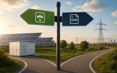 SDE subsidie in combinatie met Accu